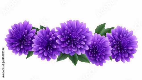 Purple chrysanthemum floral border.
