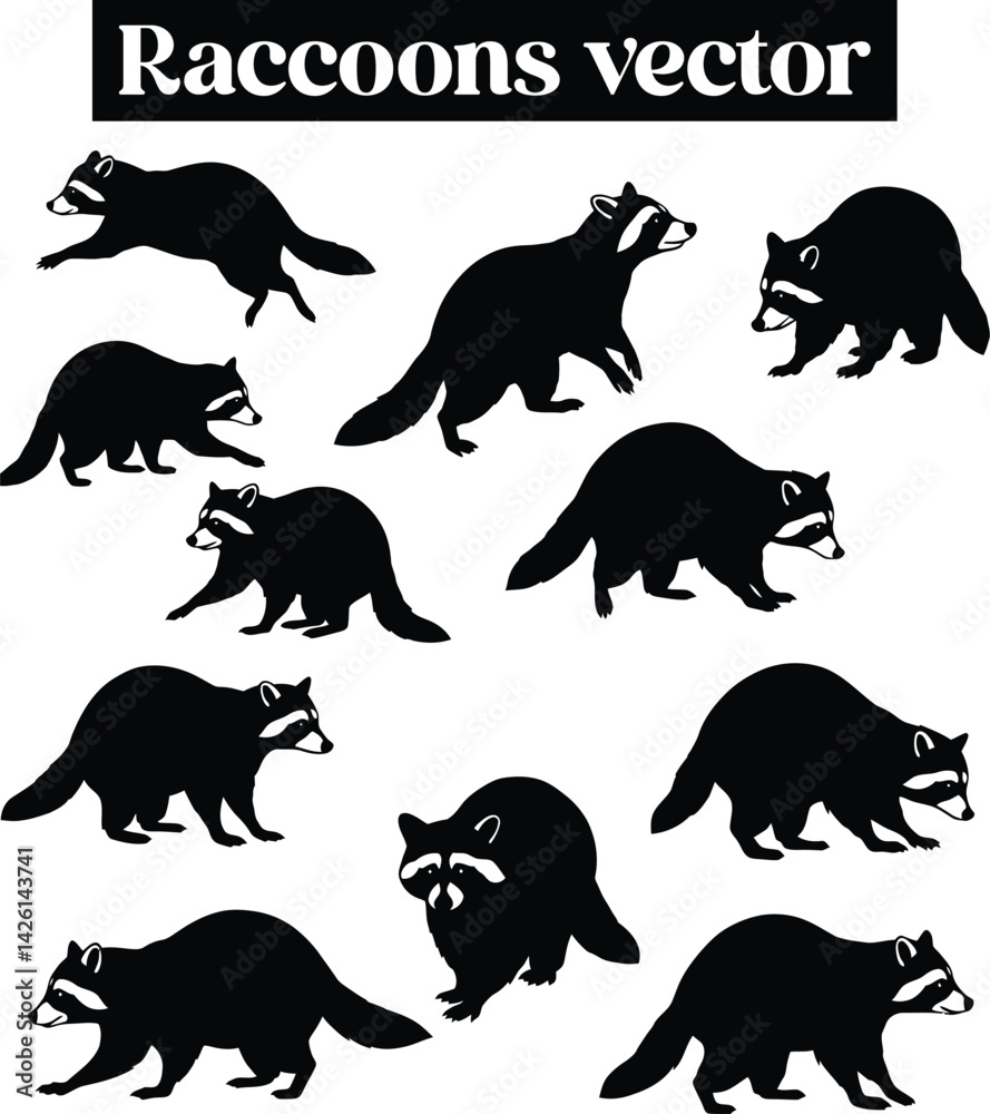 Obraz premium Raccoon North Illustrations Silhouettes