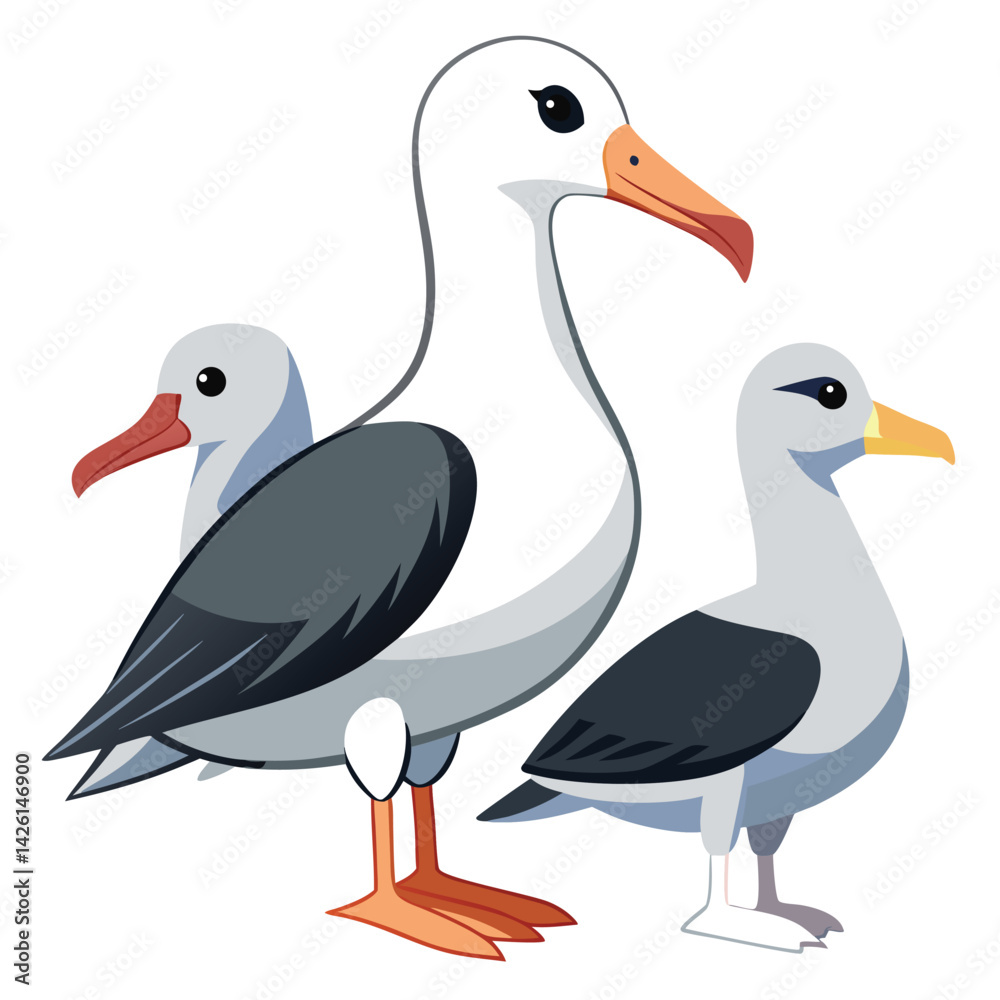 Fototapeta premium Albatross Birds set on white background