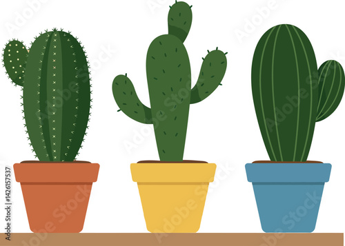 Three Different Cactus Plants in Colorful Pots Illustration for Home Decor and Gardening 