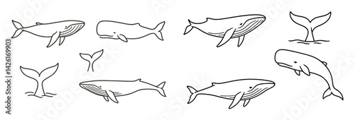 Collection of line style web icons depicting various whale designs and tails for digital or print use