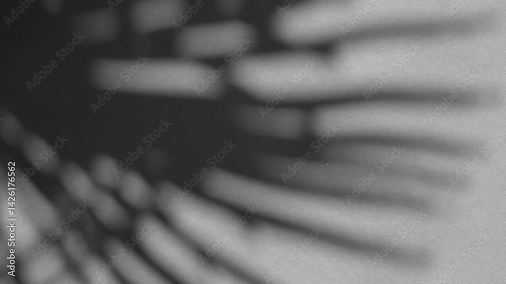 Shadow of palm tree leaves moving gently in the wind on faded pink orange concrete wall background, backdrop, in black and white