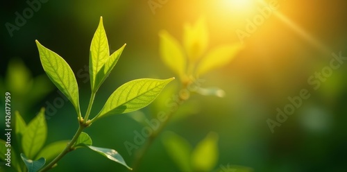 Close-up of sunlit plant branch with sparkling bokeh lights in garden, natural, flora