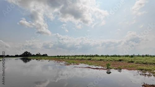 Boot trip on the Jari Canal at Alter do Chao, Santarem District, Para State, Brazil. Natural landscape of flooded areas of the Jari Canal, in an Amazon and Tapajos River