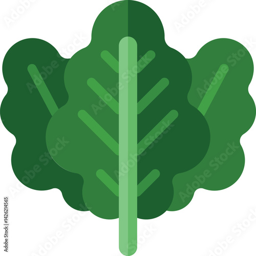 kale illustration on a white background  