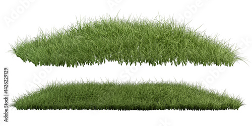 grass isolated on white background