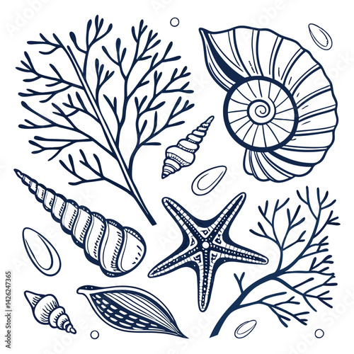 Vector illustration Set of Marine Nature Elements Sea Shells And  in Seamless Pattern Design Showcasing Beach Art With Ocean Texture