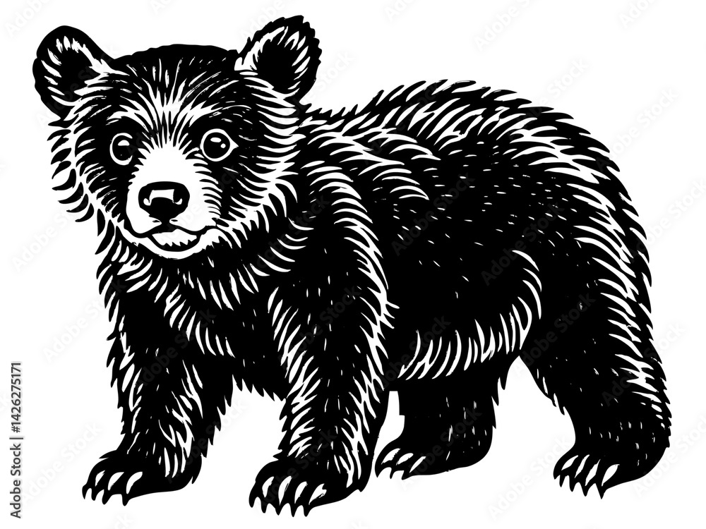 Fototapeta premium Bold Bear Cub Illustration: A Whimsical Wildlife Sketch