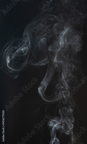 Obraz na płótnie Steam fog cloud w salonie