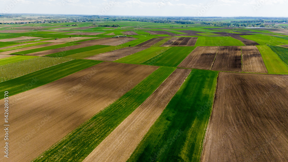 aerial drone view of colorful countryside farm fields in poland