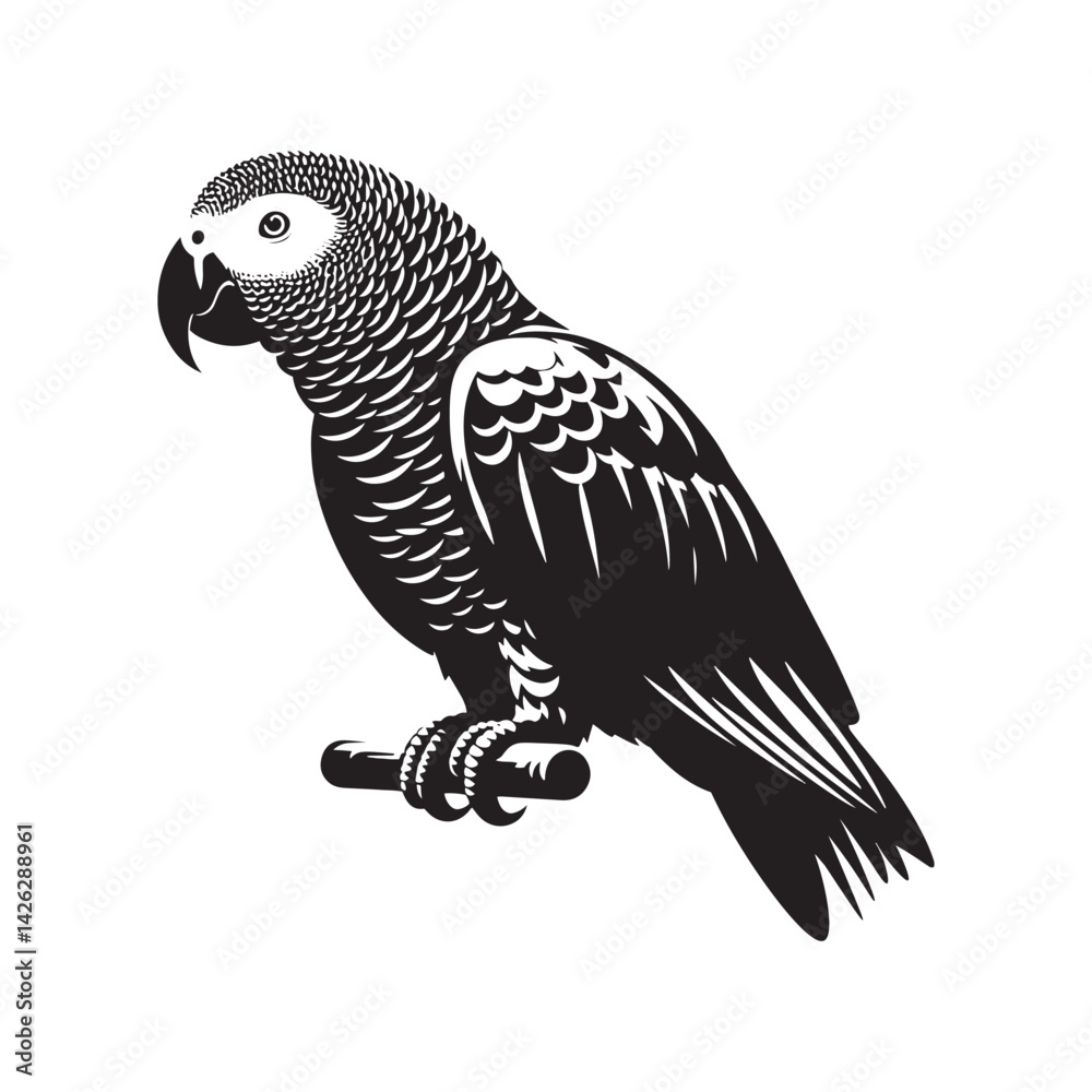 Fototapeta premium Graceful African Grey Parrot Silhouette Vector - Elegant Tropical Bird Design - Ideal for Art Prints - African Grey Parrot Illustration.