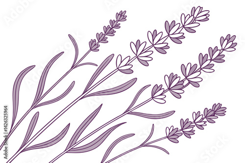Elegant lavender sprigs in pale purple floral design illustration