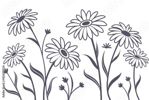 Minimalistic daisy flower vector illustration with line art botanical drawing style