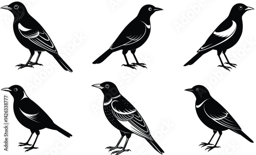 Superb starling animal bird silhouette black vector art set design