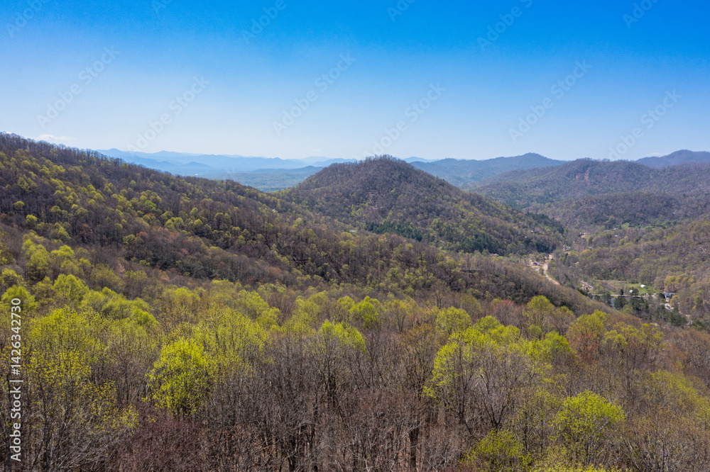Fototapeta premium Drone shot of Appalachian mountainside