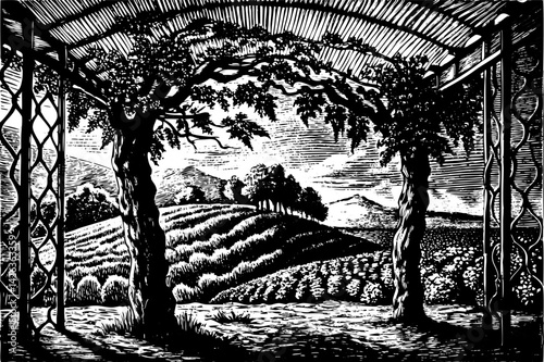 Vintage Vineyard Scene Rustic Hillside Landscape with Arbor and Vines