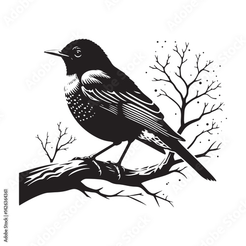 Elegant American Robin Silhouette Vector: Vibrant Songbird Design - Illustration of American Robin bird - Minimalist Bird Art.