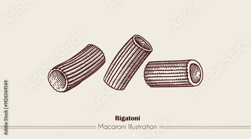Rigatoni Italian Pasta. Vector hand-drawn sketch of food. Vintage style engraving. etching. Line art