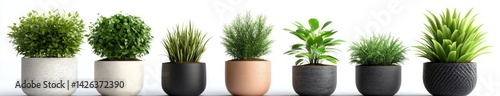 Various potted plants, photorealistic photography