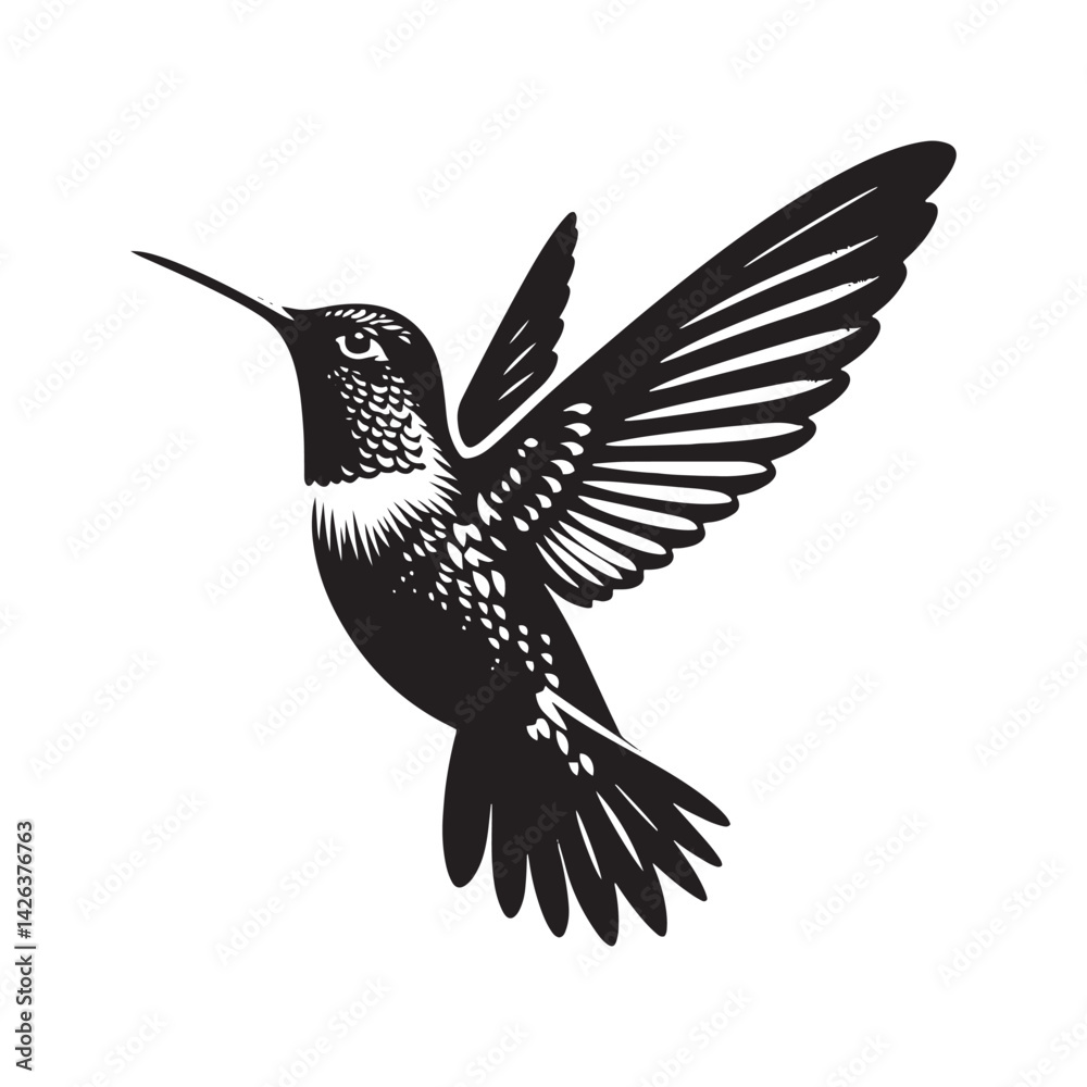 Obraz premium Anna's hummingbird Vector - Minimalist Anna's hummingbird Silhouette - Anna's hummingbird Illustration - Black and White Anna's hummingbird Art.