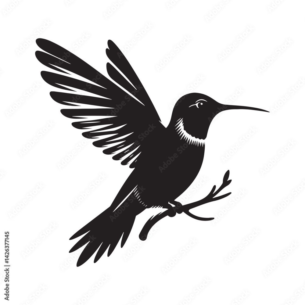 Fototapeta premium Anna's hummingbird Vector - Minimalist Anna's hummingbird Silhouette - Anna's hummingbird Illustration - Black and White Anna's hummingbird Art.