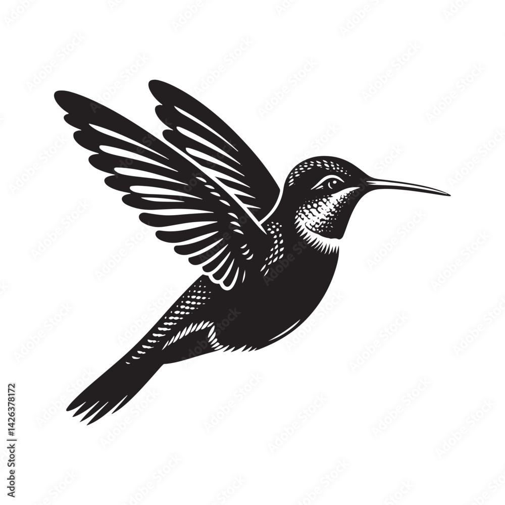 Fototapeta premium Anna's hummingbird Vector - Minimalist Anna's hummingbird Silhouette - Anna's hummingbird Illustration - Black and White Anna's hummingbird Art.