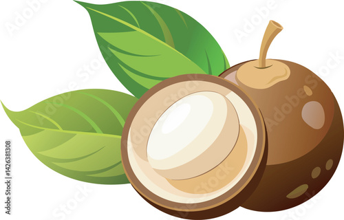 A vibrant vector art illustration showcasing beautiful longan fruit with lush leaves, detailed textures, and a fresh, tropical aesthetic appeal.