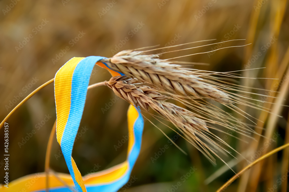 Golden wheat field with Ukrainian flag waving in the background. symbol of agriculture, national pride, resilience, and the fertile lands of Ukraine