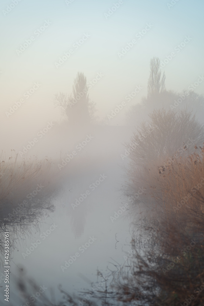 Creek in the foggy countryside during dawn.