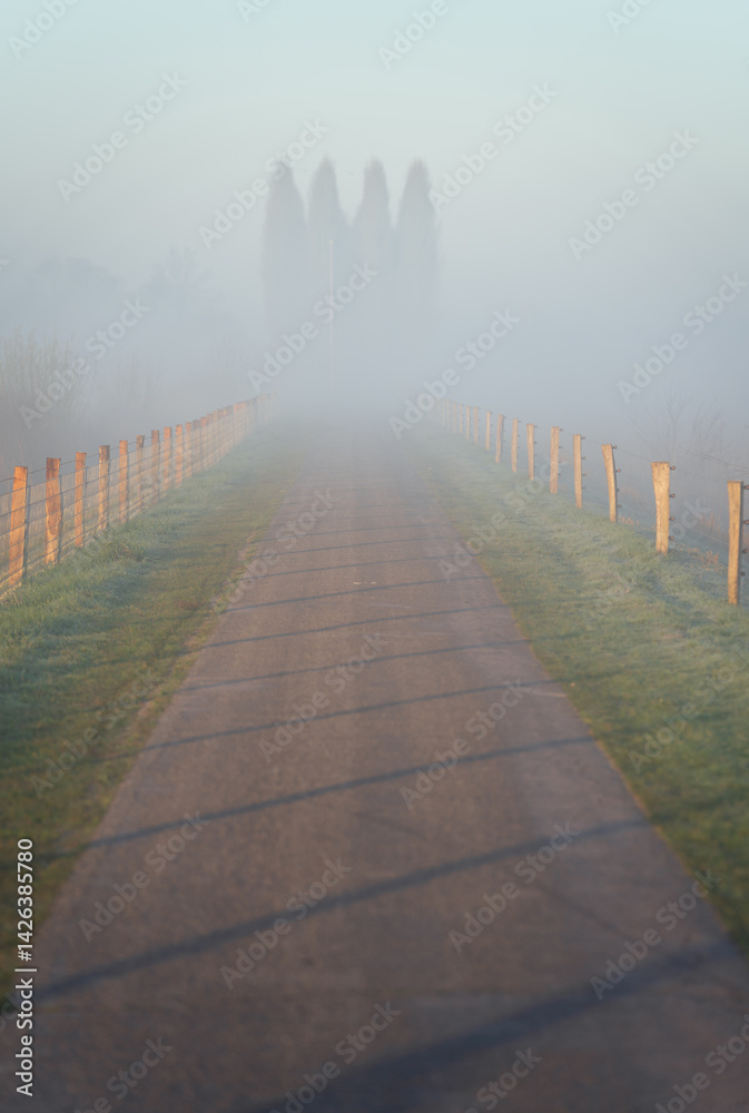 Empty bicycle lane in the fog on a spring morning.