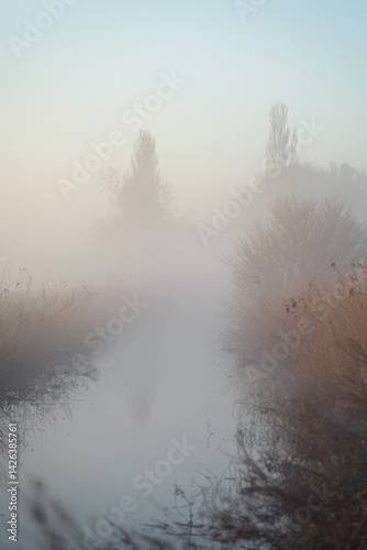 Obraz na płótnie Creek in the foggy countryside during dawn. w salonie