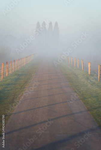 Empty bicycle lane in the fog on a spring morning.