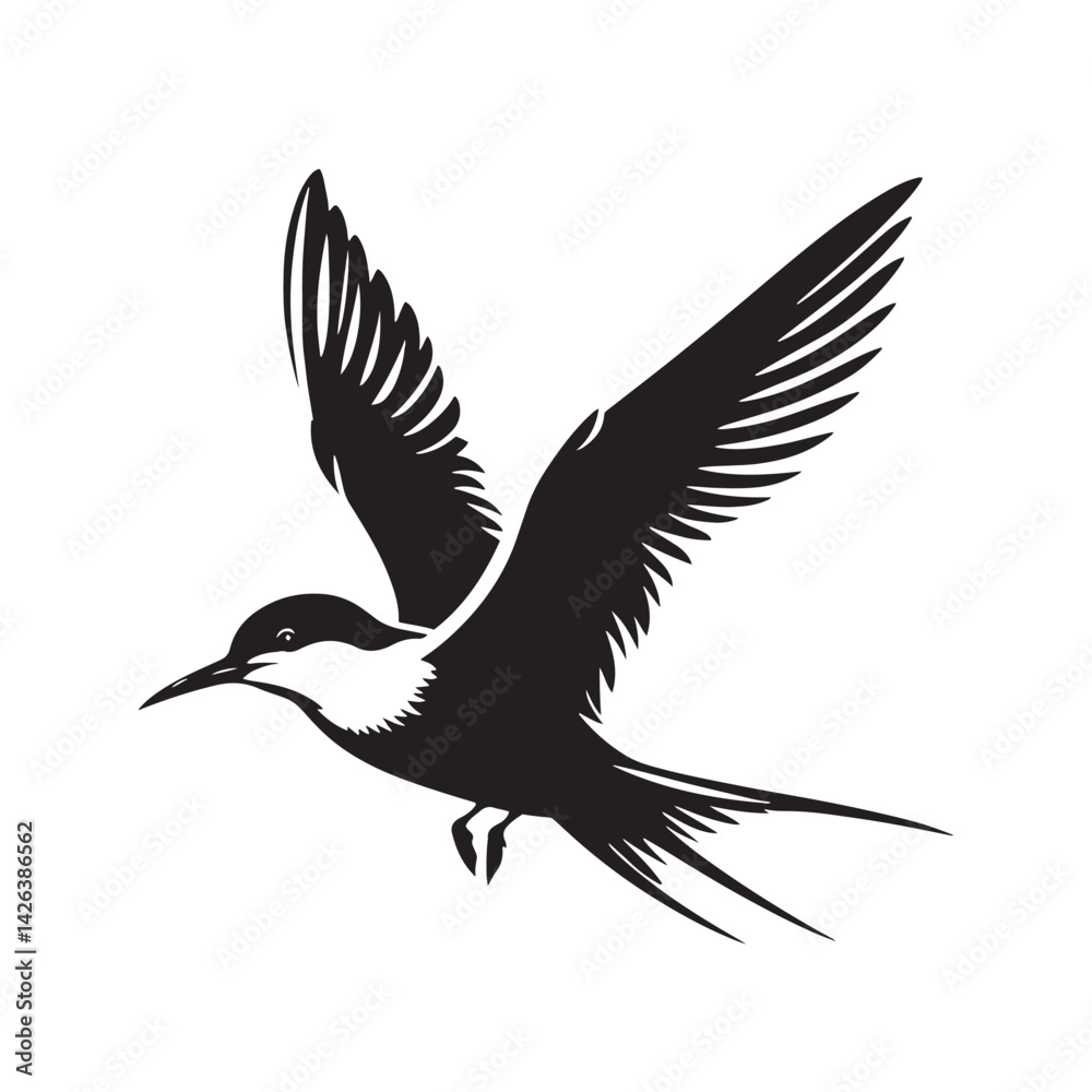 Fototapeta premium Minimalist Arctic tern Silhouette - Vector of Arctic tern - Black and White Arctic tern bird Design - Artic tern Illustration.