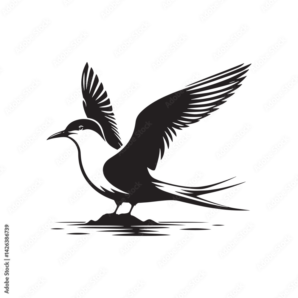 Obraz premium Minimalist Arctic tern Silhouette - Vector of Arctic tern - Black and White Arctic tern bird Design - Artic tern Illustration.