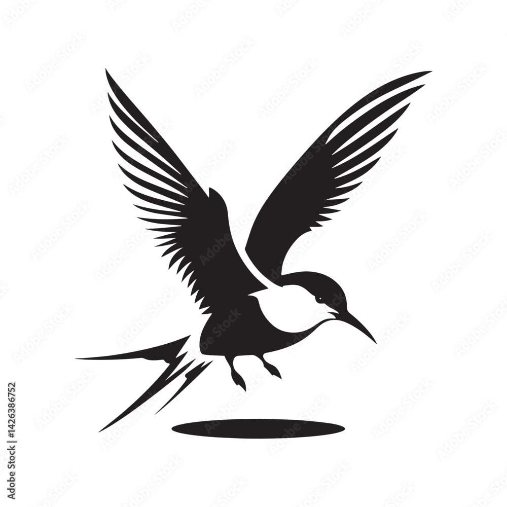 Fototapeta premium Minimalist Arctic tern Silhouette - Vector of Arctic tern - Black and White Arctic tern bird Design - Artic tern Illustration.