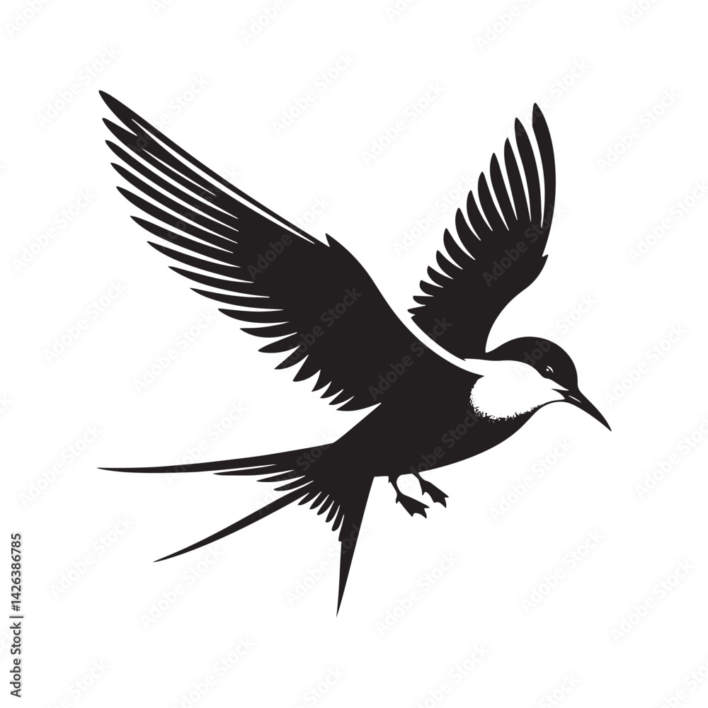 Fototapeta premium Minimalist Arctic tern Silhouette - Vector of Arctic tern - Black and White Arctic tern bird Design - Artic tern Illustration.