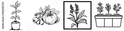 Icon set featuring various stages of plant growth and gardening elements for educational and decorative purposes