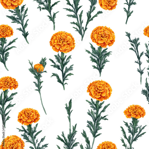 Colorful marigold flowers with lush green leaves watercolor art illustration transparent background isolated png stock