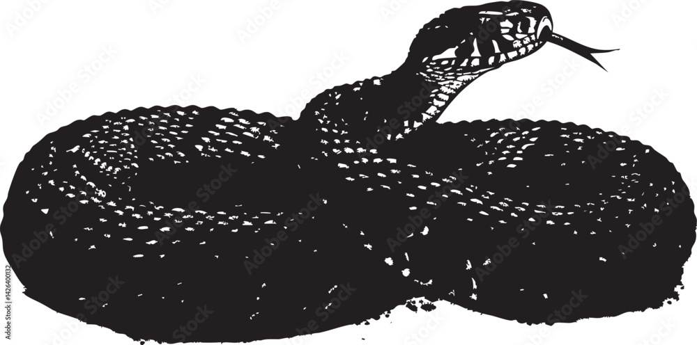 Naklejka premium Black silhouette of a coiled venomous snake with tongue out isolated on white background