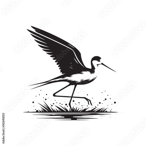 Black-winged stilt Silhouette - Black-winged stilt Vector - Illustration of Black-winged stilt - Black and White Black-winged stilt Design.