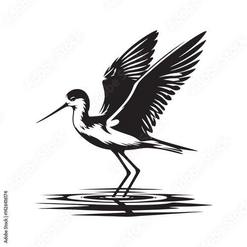 Black-winged stilt Silhouette - Black-winged stilt Vector - Illustration of Black-winged stilt - Black and White Black-winged stilt Design.