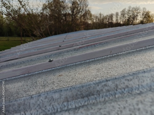Obraz na płótnie Screw with insulation on sheet metal.
w salonie