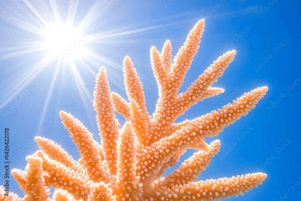 Vibrant coral branch under bright sun, showcasing intricate details against a clear blue sky