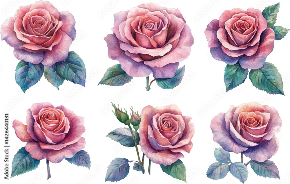 Fototapeta premium set of roses vector illustration