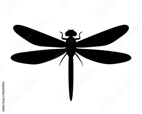 dragonfly on white background