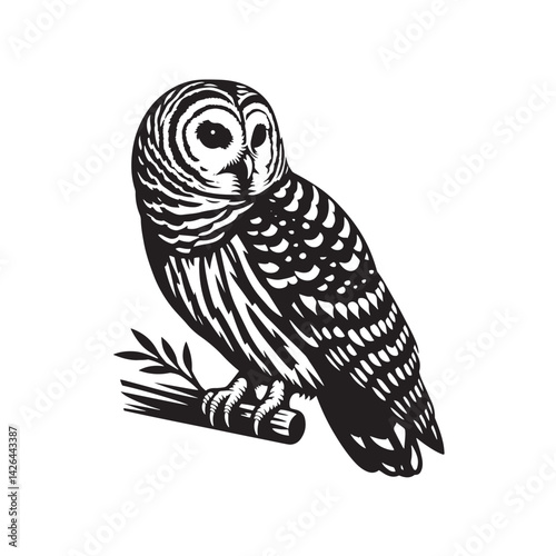 Barred owl Silhouette - Barred owl Vector - Minimalist Barred owl Illustration - Black and White Art.