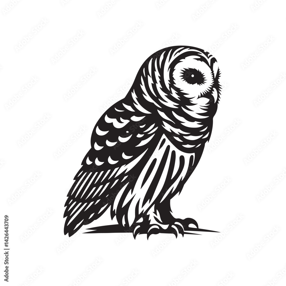 Fototapeta premium Barred owl Silhouette - Barred owl Vector - Minimalist Barred owl Illustration - Black and White Art.