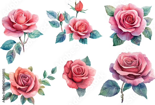 set of roses vector