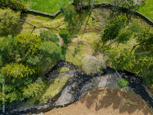 Bird’s Eye View of Stone Walls and Fields Dividing Moorland and Forest – North Pennines, UK