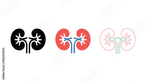 Kidney Icons: A set of vector kidney icons in black, red, and outline styles, representing the organ's vital role in human health.